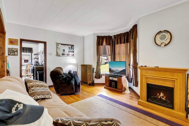 1102 Pacific St, Saint Paul, MN 55106 - living area featuring radiator, light wood-style floors, a lit fireplace, and crown molding