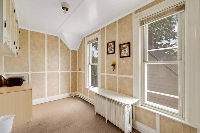 1102 Pacific St, Saint Paul, MN 55106 - unfurnished sunroom with radiator and vaulted ceiling