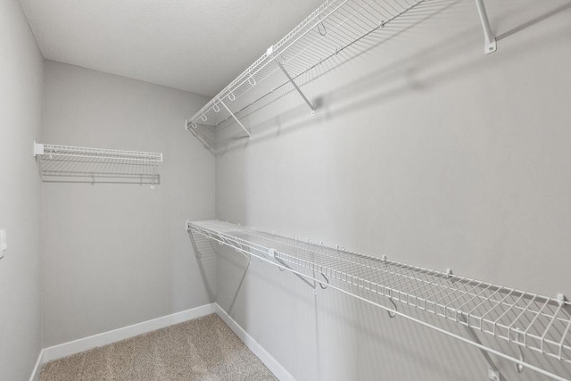 spacious closet featuring carpet floors