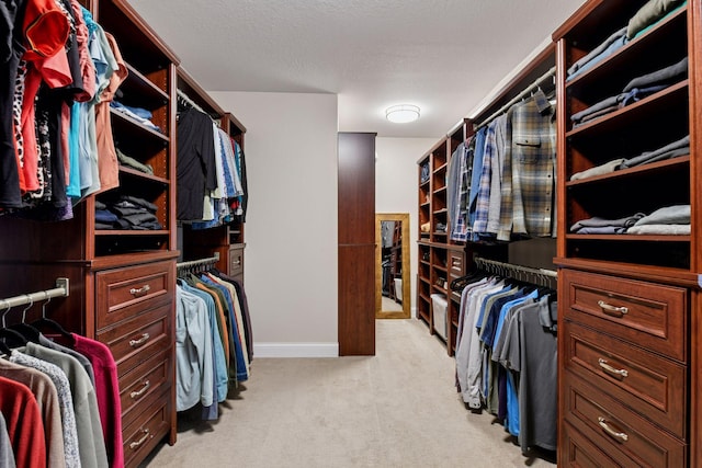 5610 Burl Oaks Ct, Minnetrista, MN 55364 - spacious closet featuring light colored carpet