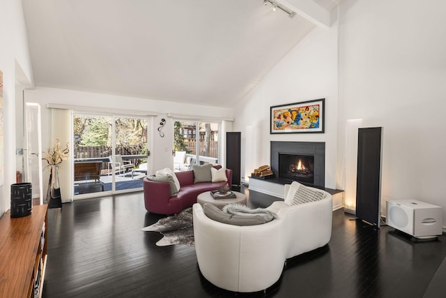 3710 Vincent Ave S, Minneapolis, MN 55410 - living area featuring a lit fireplace, dark wood-style flooring, high vaulted ceiling, and rail lighting