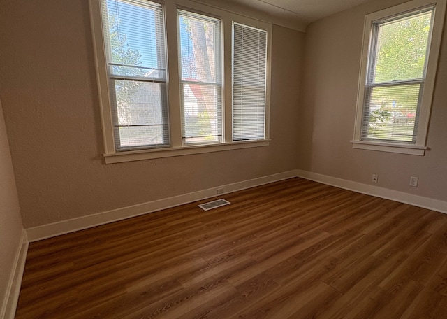 529 Blair Ave, Saint Paul, MN 55103 - spare room with plenty of natural light and dark wood-style floors