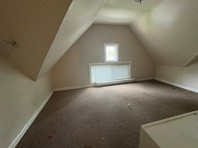 529 Blair Ave, Saint Paul, MN 55103 - additional living space with carpet floors and lofted ceiling