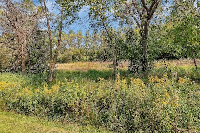 1205 Melvina Rd SW, Alexandria, MN 56308 - view of local wilderness with a forest view