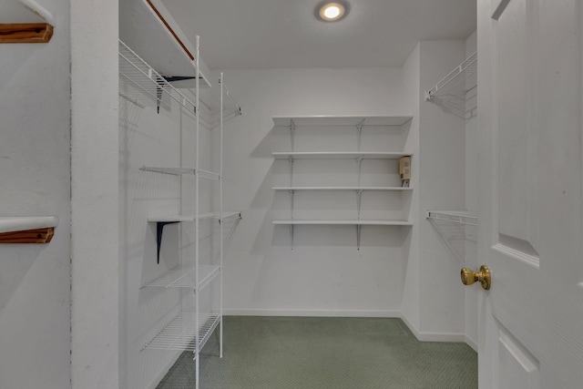 1205 Melvina Rd SW, Alexandria, MN 56308 - walk in closet featuring carpet flooring