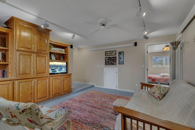 1205 Melvina Rd SW, Alexandria, MN 56308 - living room featuring carpet floors, a ceiling fan, rail lighting, and baseboards