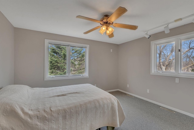1205 Melvina Rd SW, Alexandria, MN 56308 - bedroom with a ceiling fan, visible vents, rail lighting, carpet floors, and baseboards