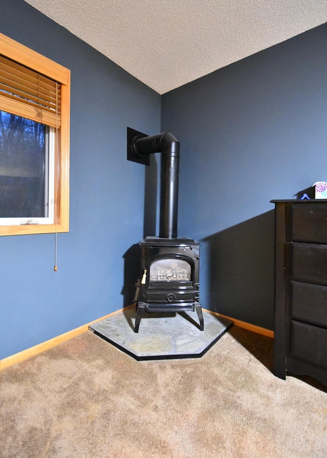 1164 Hawthorn St, Red Wing, MN 55066 - detailed view of carpet flooring, a wood stove, baseboards, and a textured ceiling