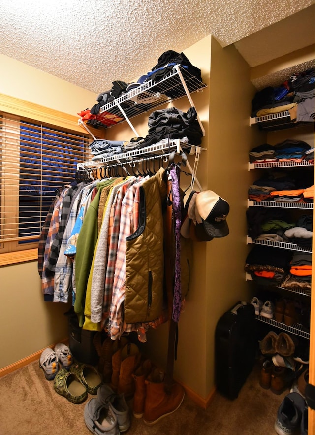1164 Hawthorn St, Red Wing, MN 55066 - spacious closet with carpet