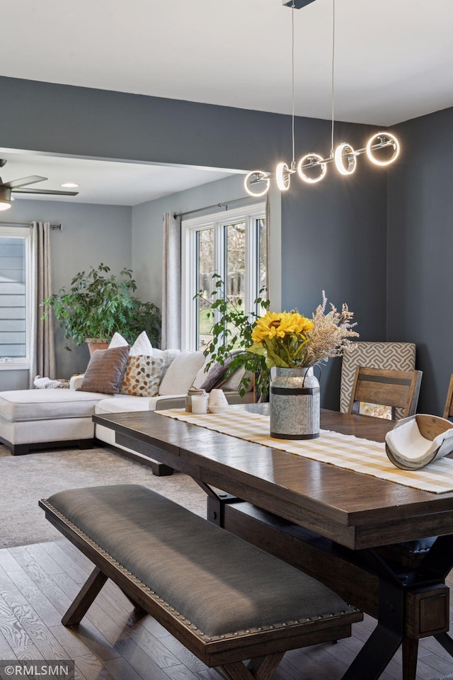 dining room with ceiling fan and hardwood / wood-style floors