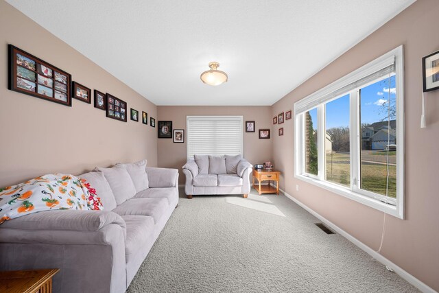 5214 381st Ln, North Branch, MN 55056 - living area featuring baseboards, visible vents, and carpet floors
