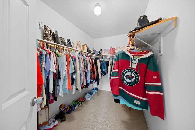 5214 381st Ln, North Branch, MN 55056 - spacious closet featuring carpet flooring