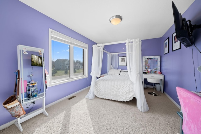 5214 381st Ln, North Branch, MN 55056 - bedroom with baseboards, visible vents, and carpet floors