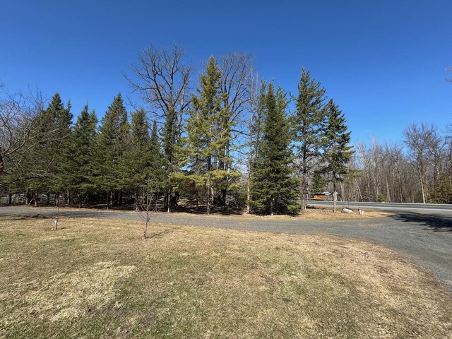 17654 Blackduck Lake Rd NE, Hines, MN 56647 - photo 6