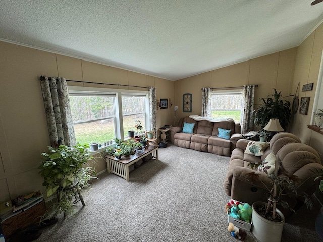 17654 Blackduck Lake Rd NE, Hines, MN 56647 - photo 24
