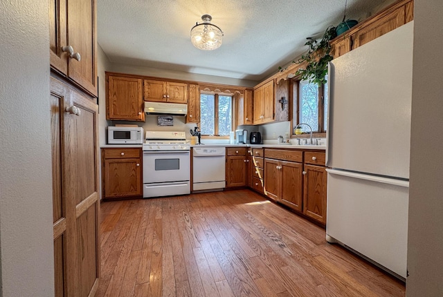 kitchen with brown cabinets, white appliances, wood-type flooring, and under cabinet range hood