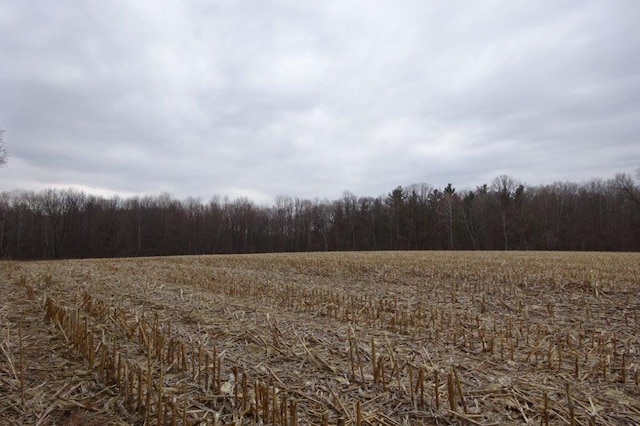 338 40th St, Clear Lake, WI 54005 - view of local wilderness featuring a forest view