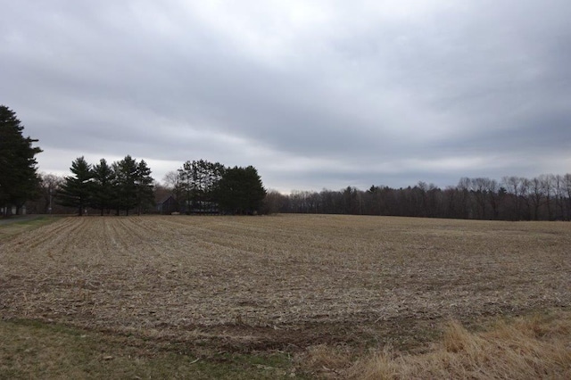 338 40th St, Clear Lake, WI 54005 - view of nature featuring a rural view