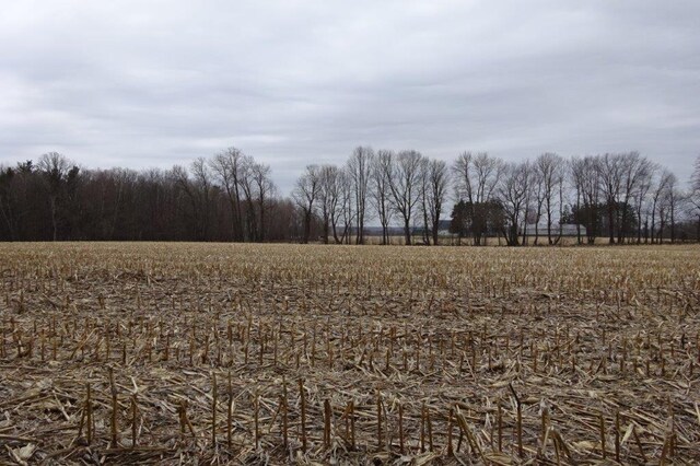 338 40th St, Clear Lake, WI 54005 - view of landscape featuring a rural view