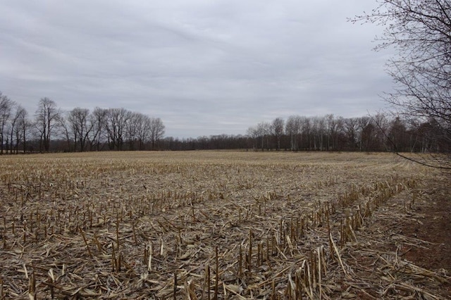 338 40th St, Clear Lake, WI 54005 - view of nature featuring a rural view