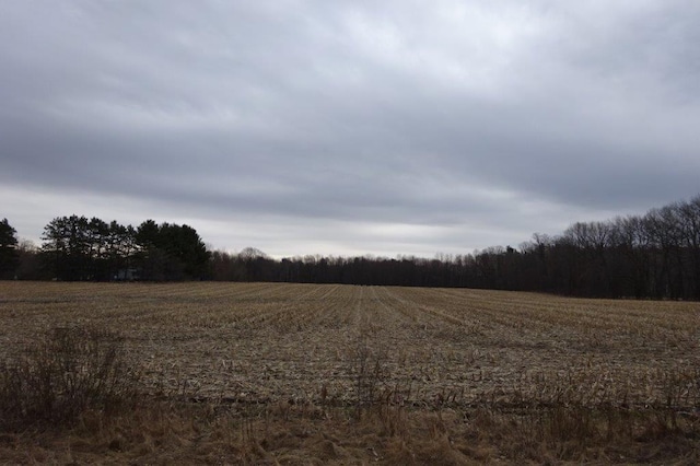 338 40th St, Clear Lake, WI 54005 - view of local wilderness featuring a rural view