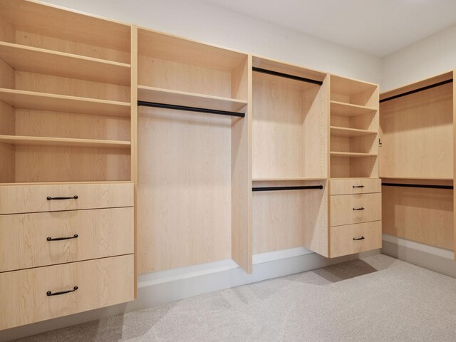 5010 Millie Rd SW, Rochester, MN 55902 - walk in closet with carpet flooring