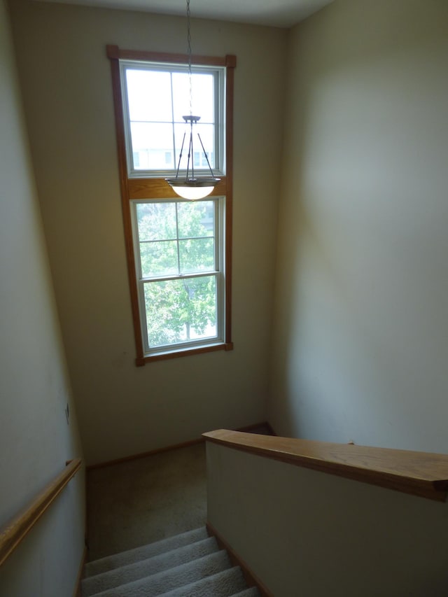 1907 Red Maple Ln, Northfield, MN 55057 - staircase with plenty of natural light and carpet floors