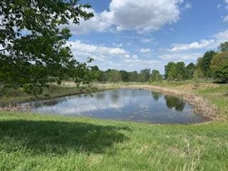 1907 Red Maple Ln, Northfield, MN 55057 - water view