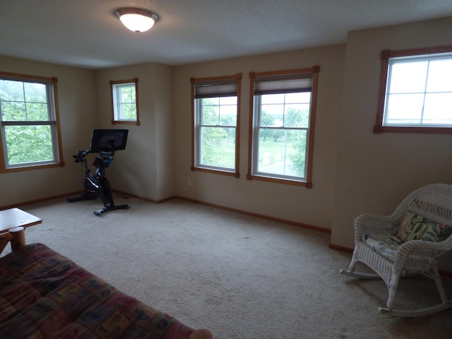 1907 Red Maple Ln, Northfield, MN 55057 - exercise room featuring carpet and baseboards