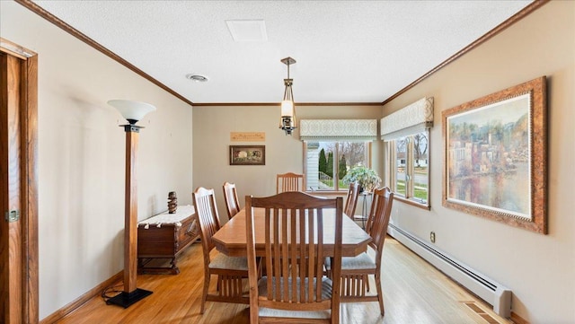411 Ash St S, Sauk Centre, MN 56378 - photo 8