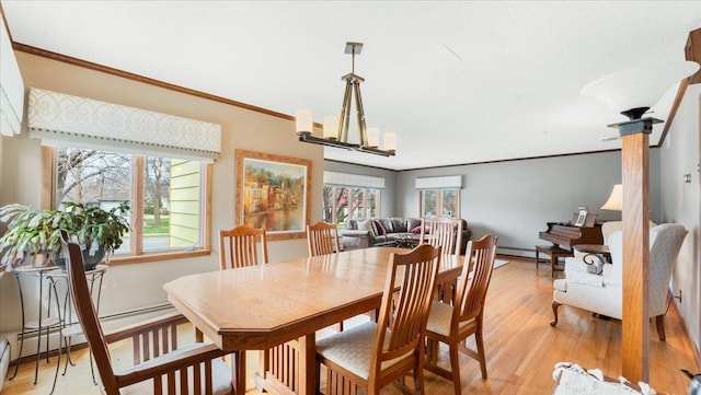 411 Ash St S, Sauk Centre, MN 56378 - photo 9