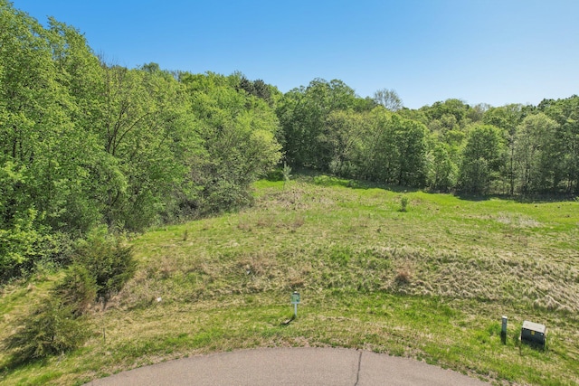 LOT4BLOCK2 Scenic Way, Franconia Twp, MN 55074