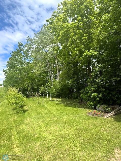 38227 County Highway 34, Maple Grove Twp, MN 56569 - view of yard