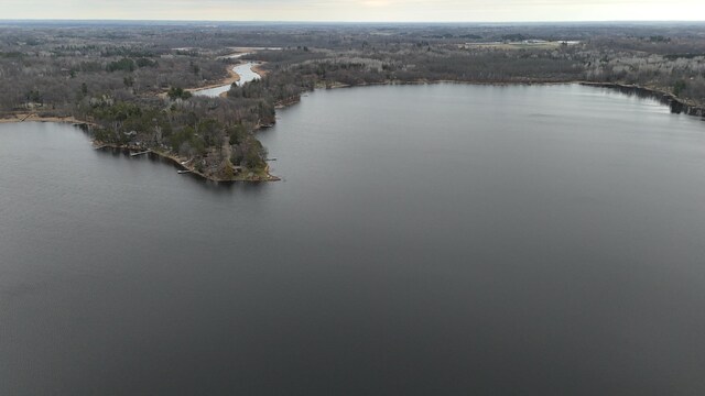 aerial view featuring a view of trees and a water view