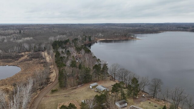 aerial view with a water view and a wooded view