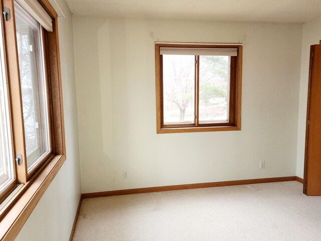 spare room featuring baseboards, plenty of natural light, and carpet