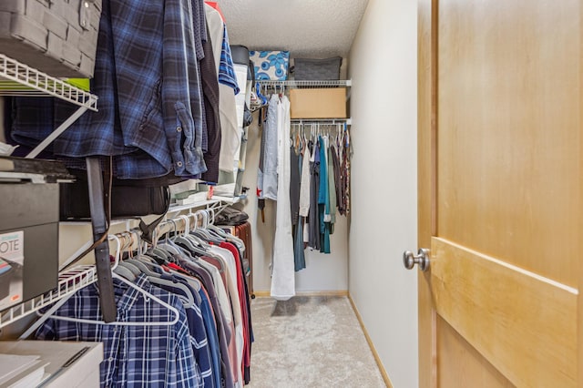 walk in closet with carpet floors