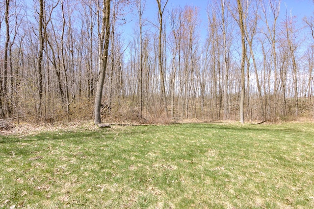 546 315th St, Cady Twp, WI 54749 - view of yard