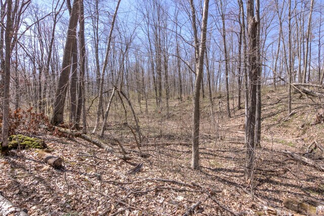 546 315th St, Cady Twp, WI 54749 - view of nature