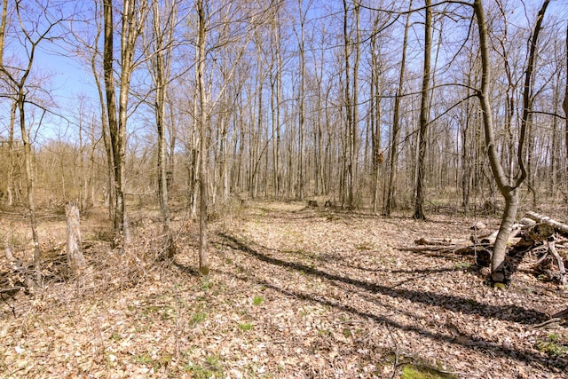 546 315th St, Cady Twp, WI 54749 - view of local wilderness