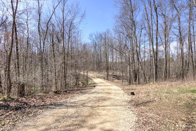 546 315th St, Cady Twp, WI 54749 - view of dirt / gravel road with a forest view