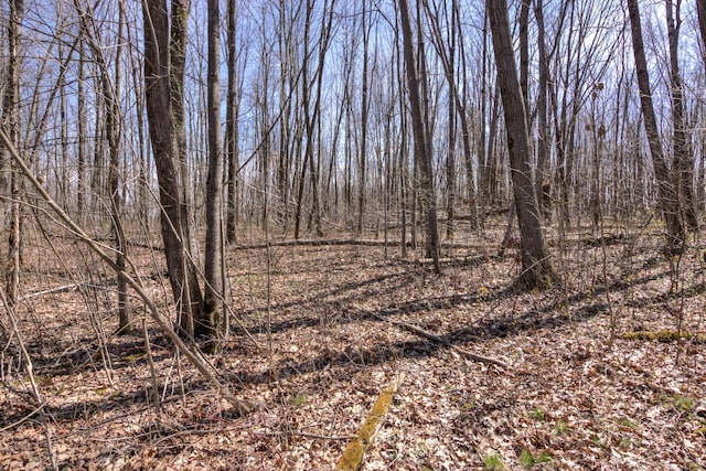 546 315th St, Cady Twp, WI 54749 - view of nature
