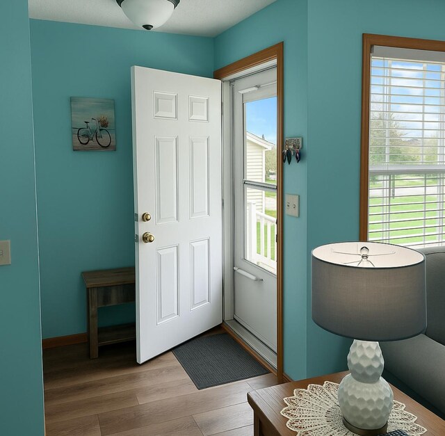 entryway featuring plenty of natural light and wood finished floors