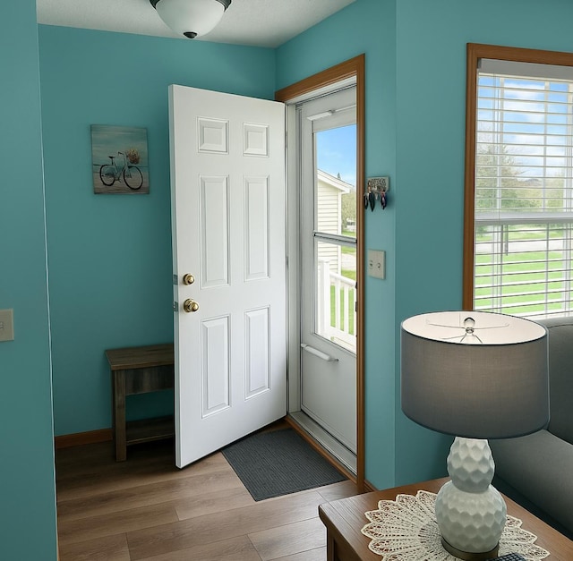 406 Sarazin St, Shakopee, MN 55379 - entryway with plenty of natural light and wood finished floors