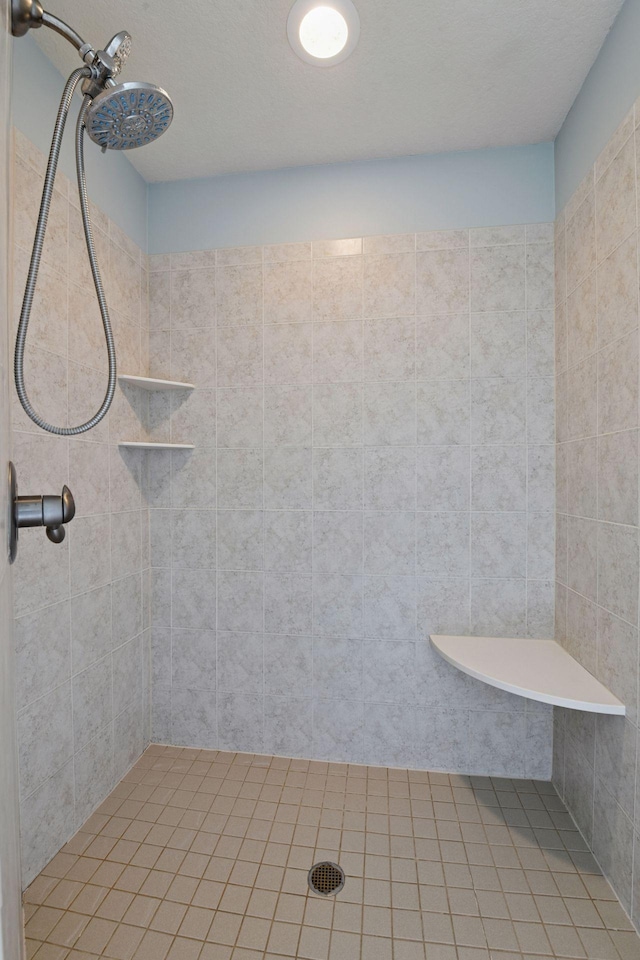 7250 Jubert Ln, Corcoran, MN 55340 - bathroom with tiled shower