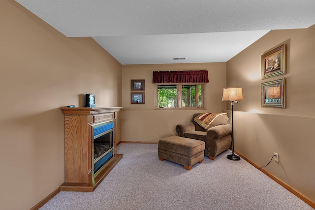 1410 4th Ave N, Sartell, MN 56377 - living area with carpet flooring, baseboards, and a glass covered fireplace