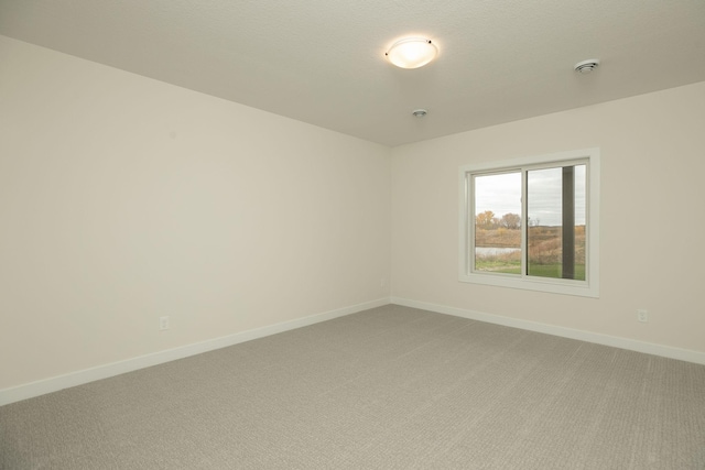 301 Somerby Pkwy NE, Byron, MN 55920 - photo 49