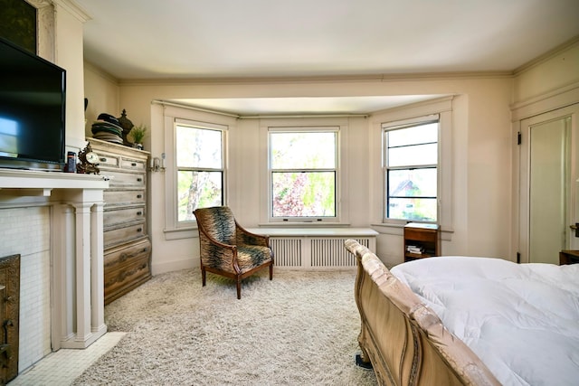 265 Broadway St, Winona, MN 55987 - carpeted bedroom with radiator heating unit, a fireplace, and ornamental molding