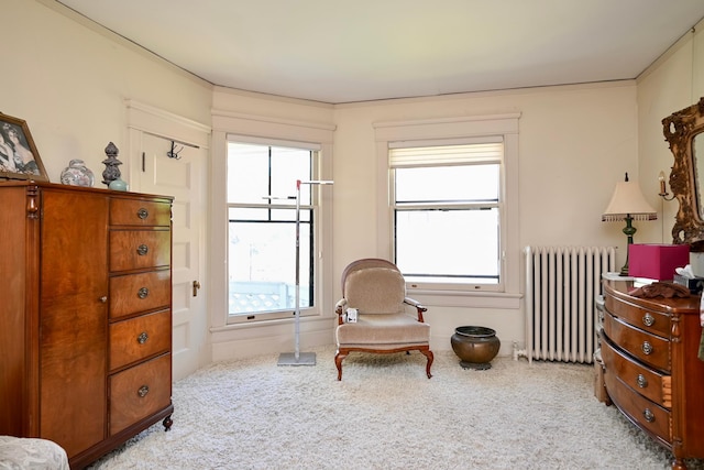 265 Broadway St, Winona, MN 55987 - living area featuring radiator, carpet floors, and plenty of natural light