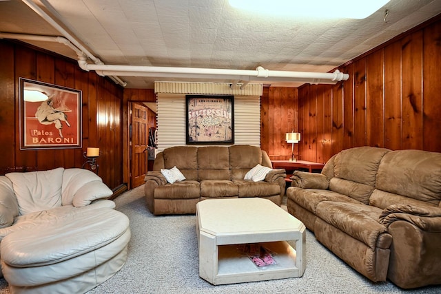265 Broadway St, Winona, MN 55987 - carpeted living room featuring wooden walls